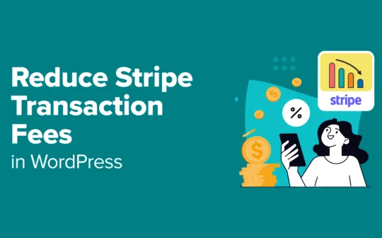 How to Reduce Stripe Transaction Fees in WordPress (3 Expert Tips)