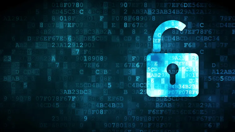 Data Privacy Issues to Avoid on Your WordPress Site