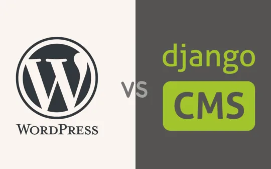 Which Is Better for Your Website?